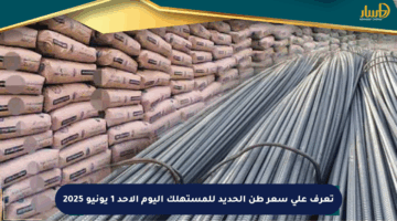 تعرف على سعر طن الحديد للمستهلك اليوم الأحد 1 يونيو 2025